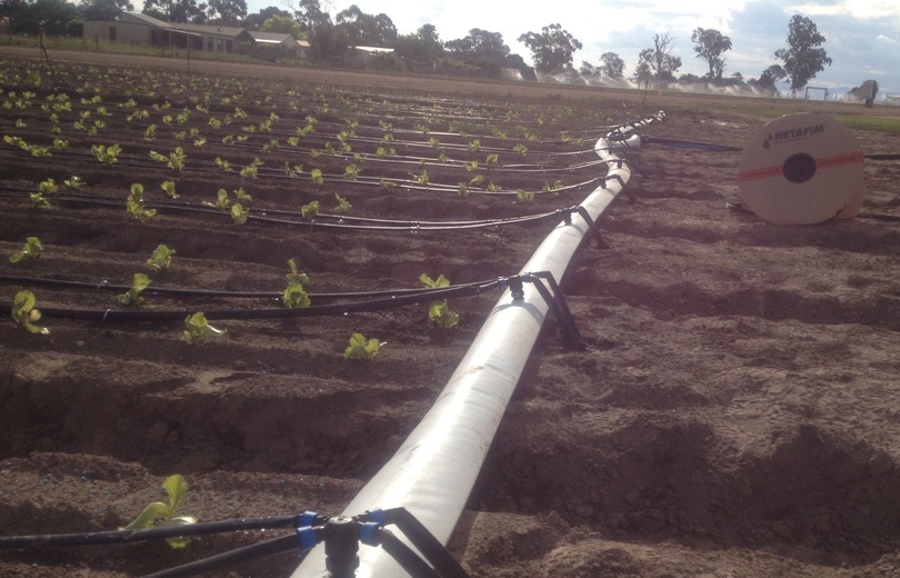 Reduced%20tillage%20trial%20and%20flatnet